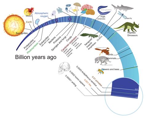  「Origin of Species」：進化の壮大な叙事詩と生命の神秘に迫る、イランの知の灯火