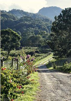  「Roads Less Traveled: A Travel Diary」- ブラジルの風土を描き出す、エモーショナルで力強い旅の記録